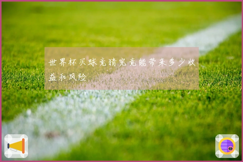 世界杯买球竞猜究竟能带来多少收益和风险