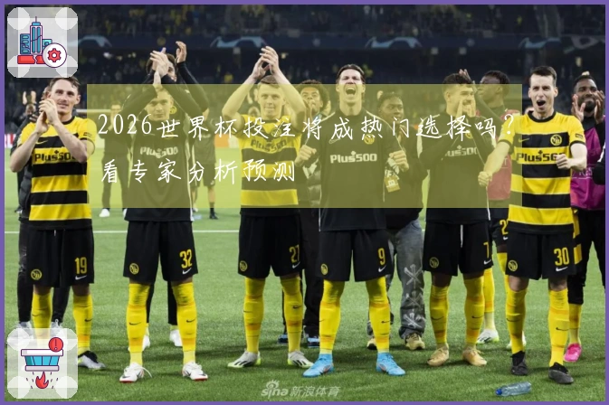 2026世界杯投注将成热门选择吗？看专家分析预测