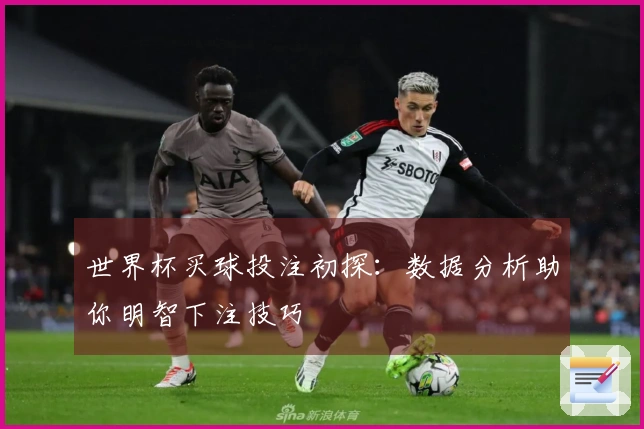 世界杯买球投注初探：数据分析助你明智下注技巧