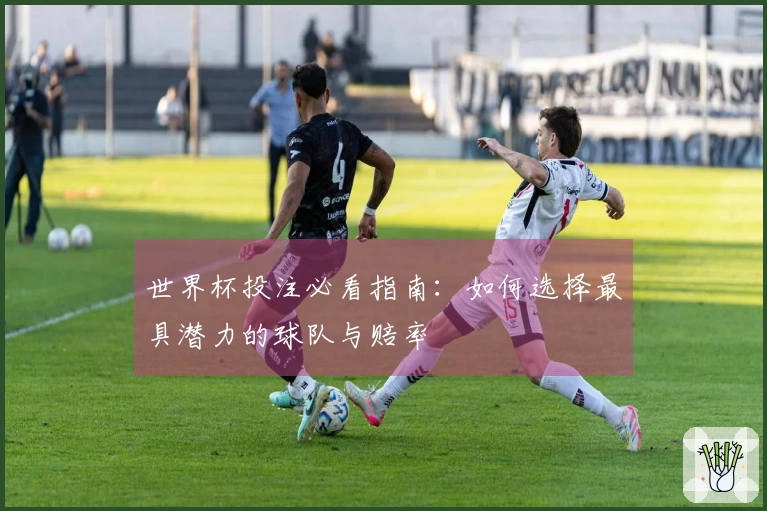 世界杯投注必看指南:如何选择最具潜力的球队与赔率