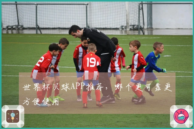 世界杯买球APP推荐，哪个更可靠更方便使用