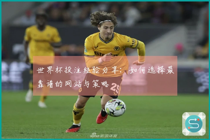 世界杯投注经验分享：如何选择最靠谱的网站与策略
