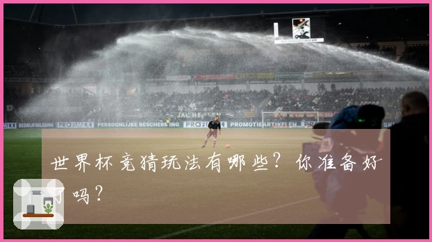 世界杯竞猜玩法有哪些?你准备好了吗?