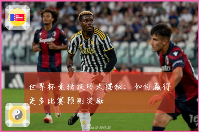 世界杯竞猜技巧大揭秘：如何赢得更多比赛预测奖励