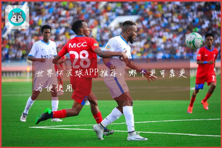 世界杯买球APP推荐，哪个更可靠更方便使用