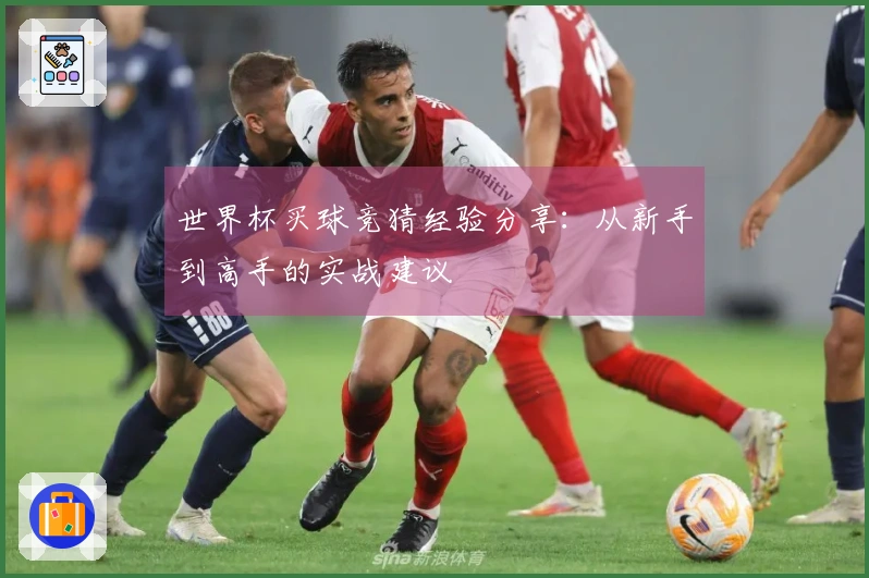 世界杯买球竞猜经验分享：从新手到高手的实战建议