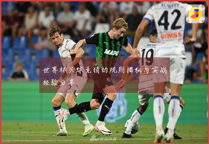 世界杯买球竞猜的规则揭秘与实战经验分享