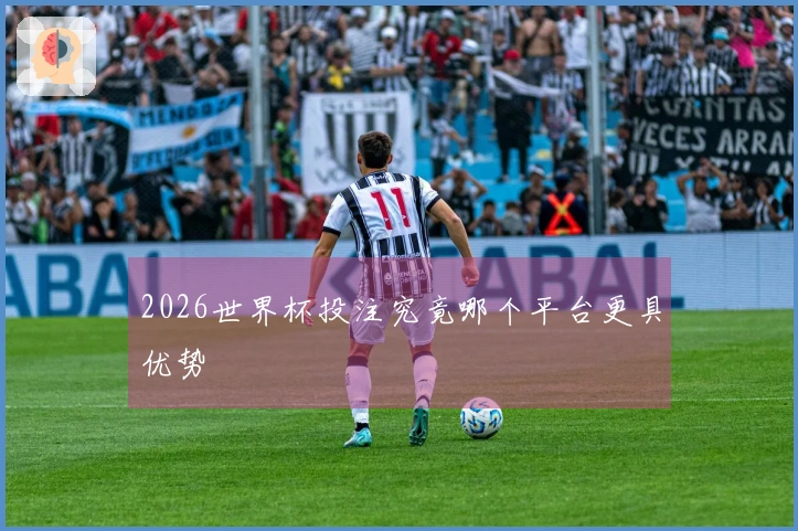 2026世界杯投注究竟哪个平台更具优势
