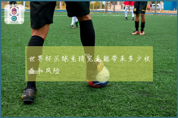世界杯买球竞猜究竟能带来多少收益和风险