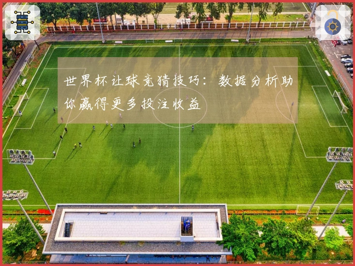 世界杯让球竞猜技巧：数据分析助你赢得更多投注收益
