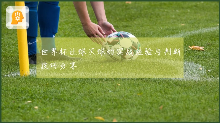 世界杯让球买球的实战经验与判断技巧分享