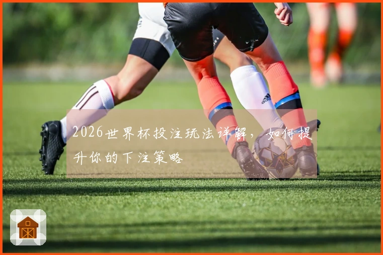 2026世界杯投注玩法详解，如何提升你的下注策略