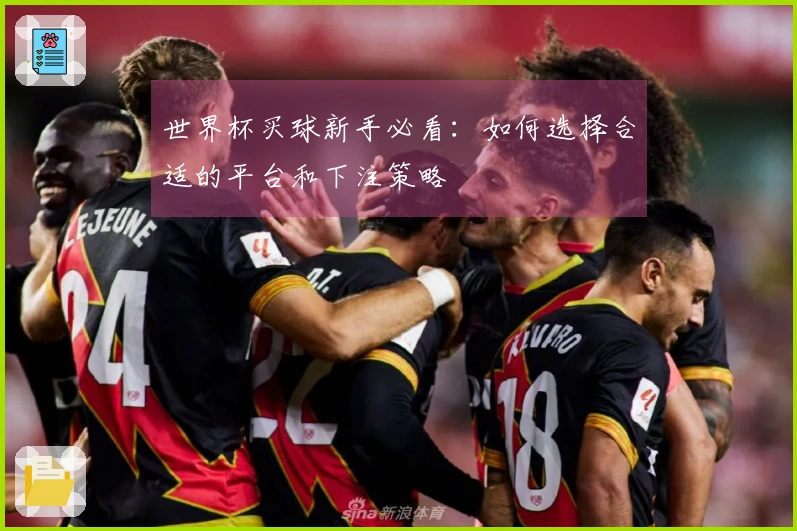 世界杯买球新手必看：如何选择合适的平台和下注策略